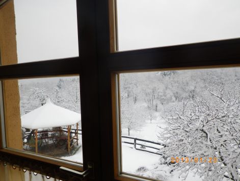 2013.tel_172.jpg 2013.tel_172.jpg